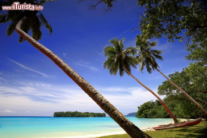 Immagine Paradiso tropicale a Olry, arcipelago di Vanuatu - © livcool / Shutterstock.com