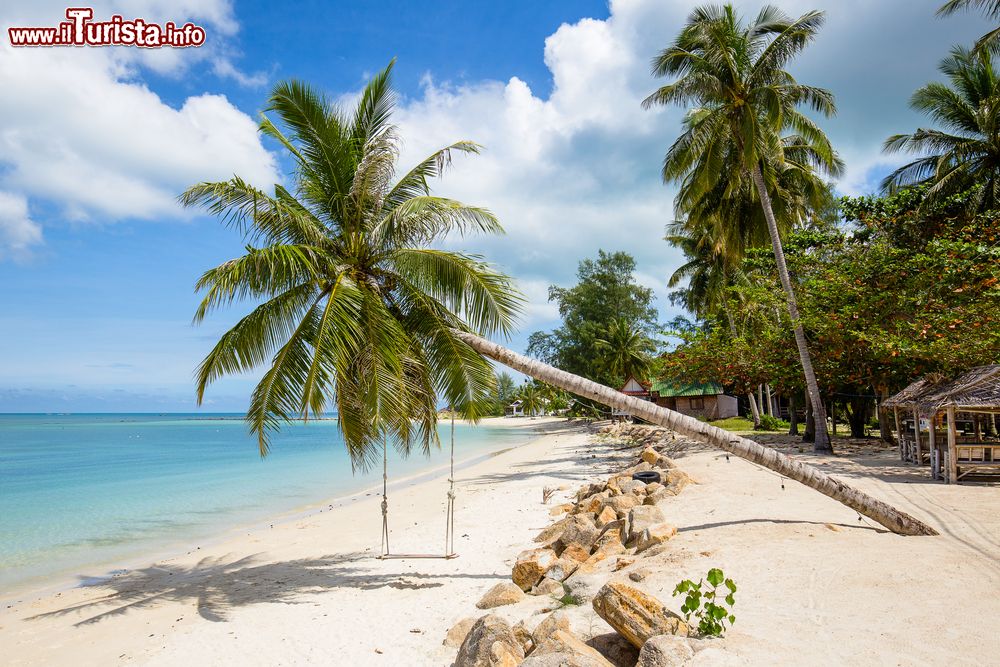Immagine Paradiso tropicale a Koh Pha Ngan, Thailandia. Una palma da cocco sulla spiaggia con l'altalena in legno per dondolarsi in riva al mare.