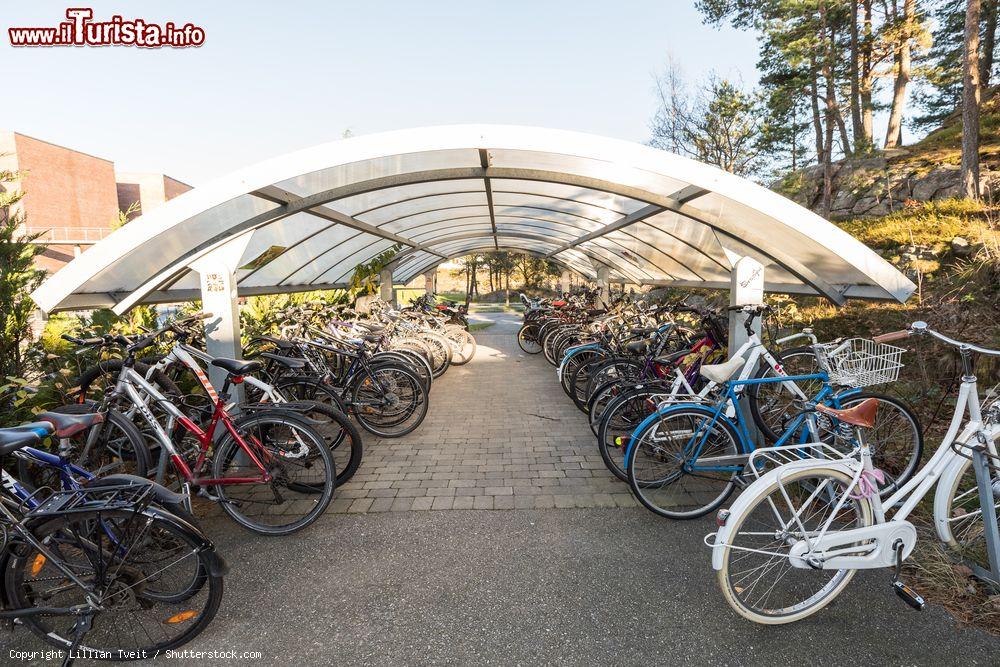 Immagine Parcheggio delle biciclette nei pressi dell'Università di Agder a Kristiansand, Norvegia - © Lillian Tveit / Shutterstock.com