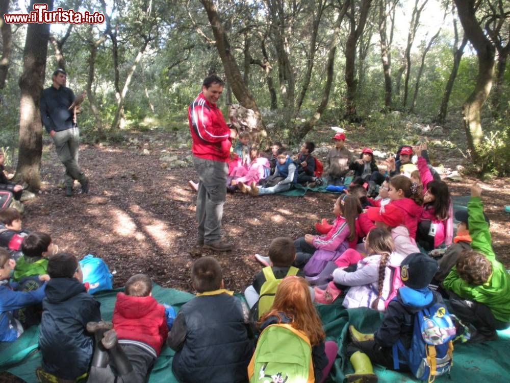 Immagine Il Parco Avventura Ciuchino Birichino a Cisternino in Puglia - © www.ciuchinobirichino.it/it/