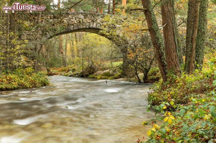 Immagine Parco Boca del Asno a Segovia, Spagna - Acque limpide e vegetazione rigogliosa per questa graziosa area naturale che sorge nei pressi di Segovia dove si può passeggiare alla scoperta dei suoi scorci più suggestivi © David Herraez Calzada / Shutterstock.com