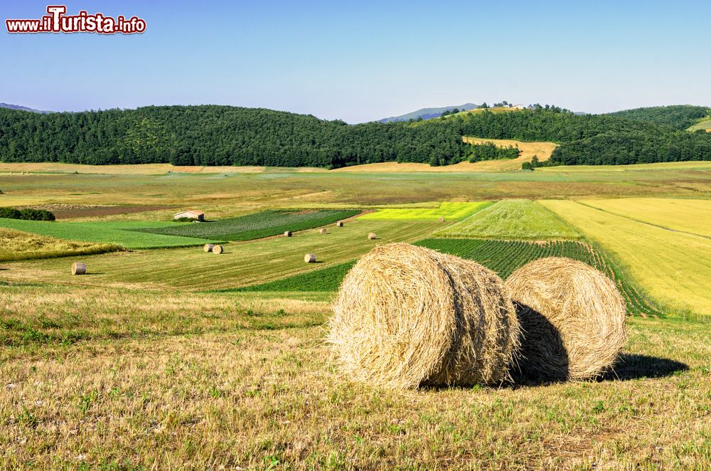 Immagine Parco di Colfiorito (Umbria): panorama estivo dopo la raccolta del foraggio
