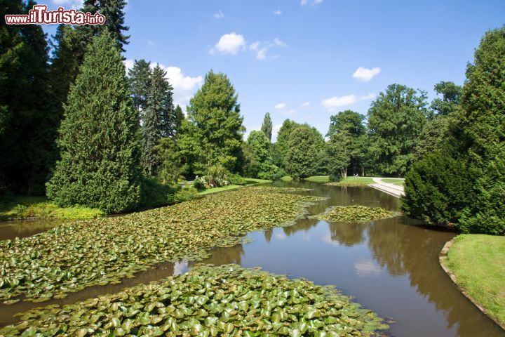 Immagine Parco Karlsaue a Kassel, Germania - Vegetazione e stagni con ninfee nel bel parco di Kassel, giardino pubblico in stile barocco. Dal 2009 appartiene al patrimonio dei parchi europei © elxeneize / Shutterstock.com