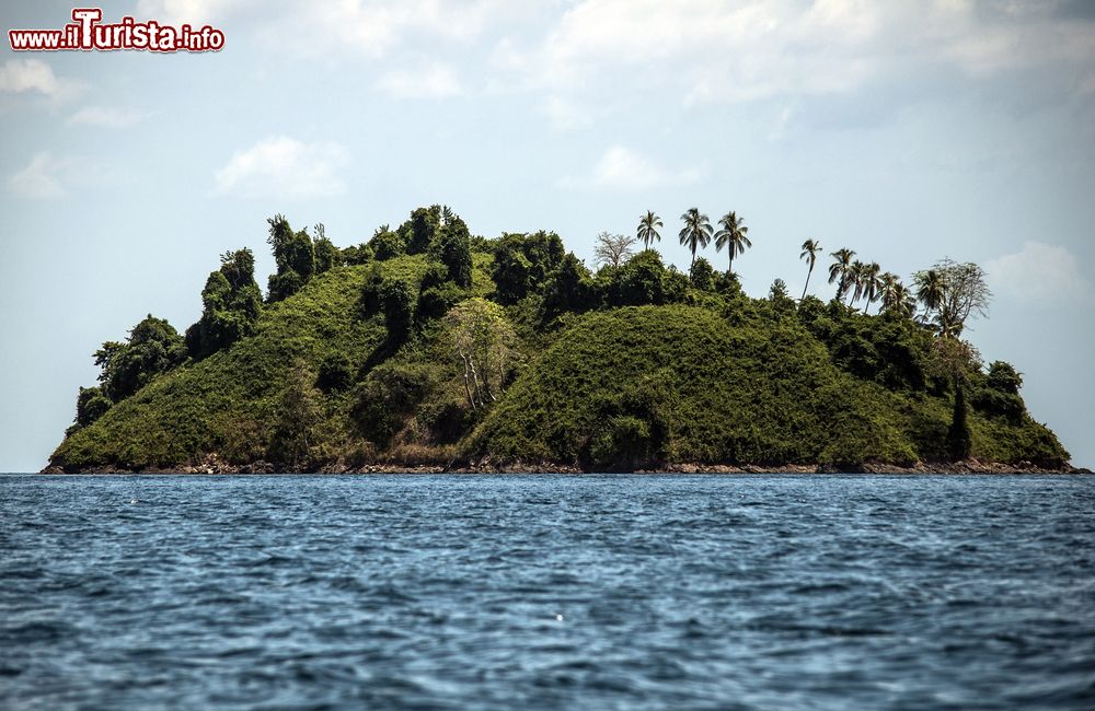 Immagine Il Parco Nazionale di Coiba, Panama. Le sue foreste tropicali umide ospitano un'importante varietà di mammiferi, uccelli e specie floreali.