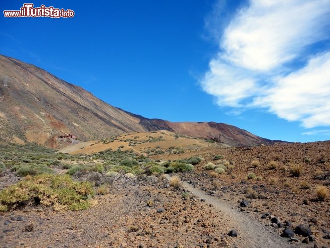 Immagine I colori del Parco Nazionale del Teide a Tenerife. L'area si estemnde su circa 190 kmq ed è Patrimonio dell'Umanità dichiarato dall'UNESCO.