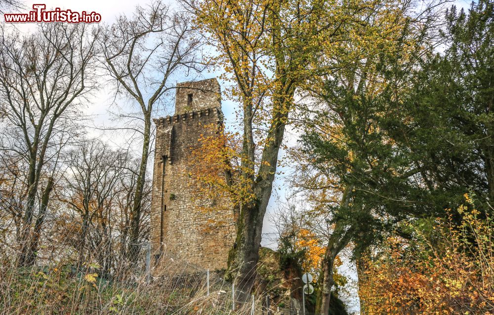 Immagine Parte delle mura del vecchio forte di Vire, Normandia, Francia.