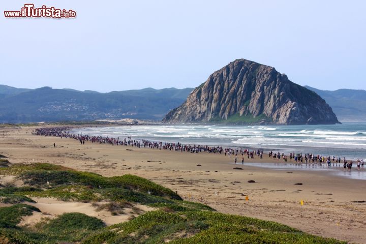 Immagine Partecipanti alla Miracle Miles for Kids Marathon sulla spiaggia di Morro Bay, California. Da anni, migliaia di persone corrono (o camminano) da questa località sino a Cayucos per una marcia a favore dei bambini - © J. McPhail / Shutterstock.com