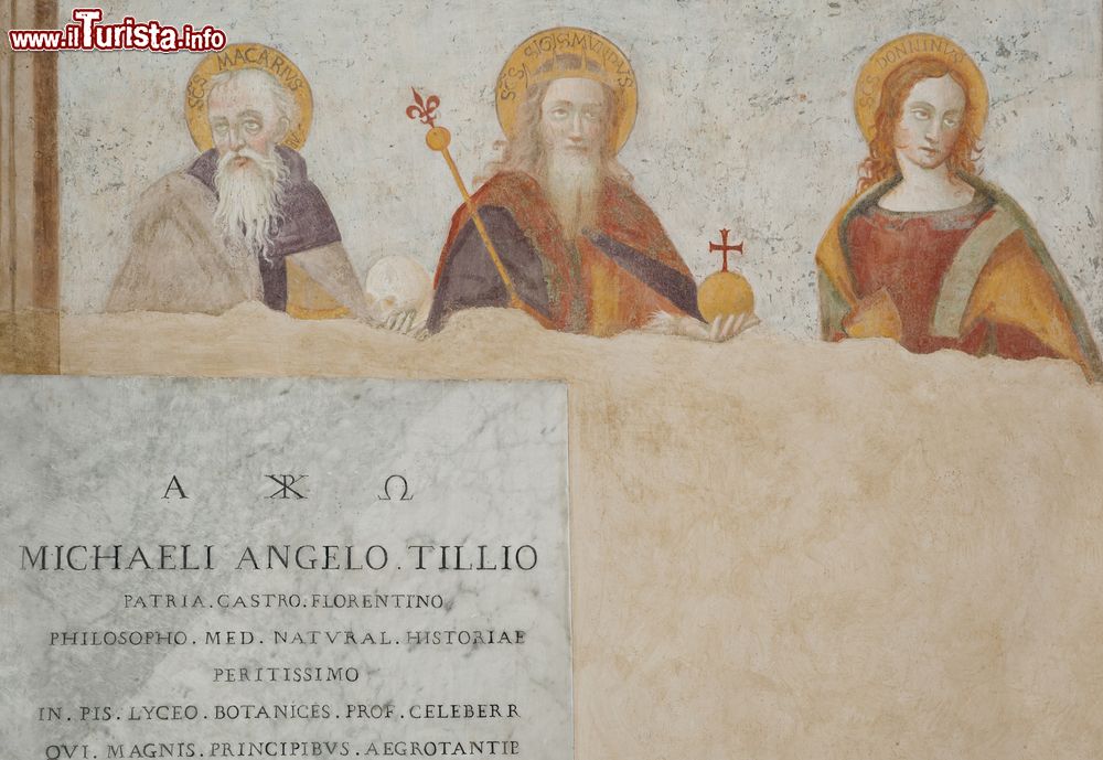 Immagine Un particolare degli affreschi all'interno della Chiesa di San Francesco a Castelfiorentino in Toscana