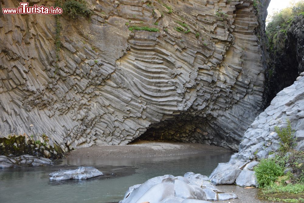 Immagine Particolare dei basalti colonnari delle Gole del fiume Alcantara vicino a Francavilla di Sicilia, Messina