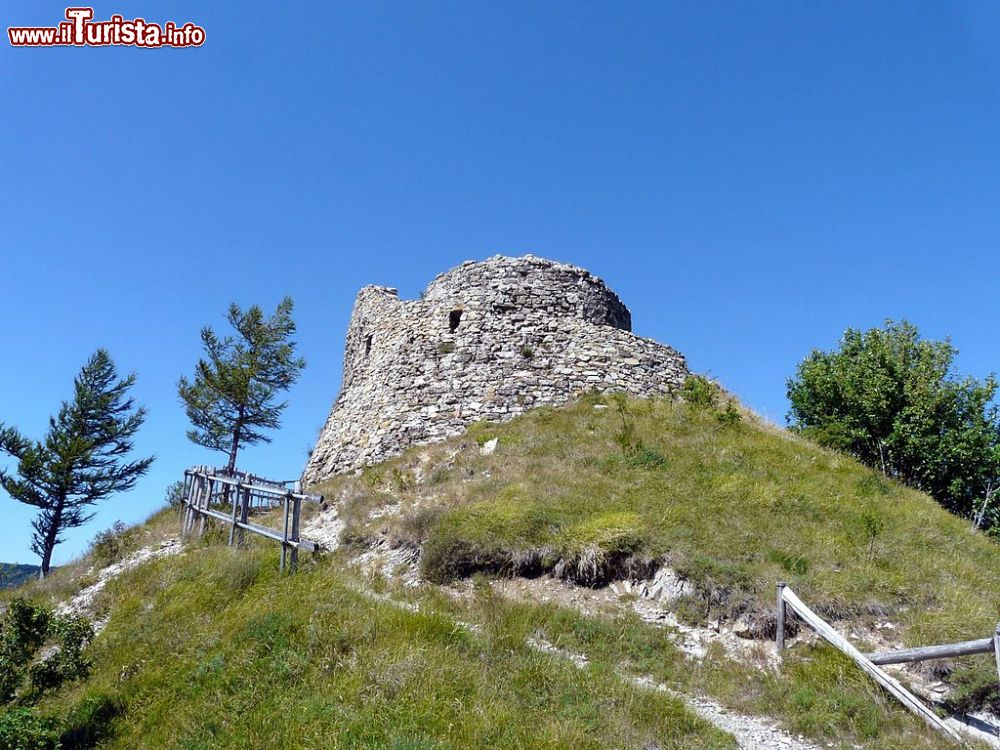 Immagine Particolare del rudere del castello a Carrega Ligure, provinica di Alessandria, Piemonte - © Davide Papalini, CC BY-SA 3.0, Wikipedia