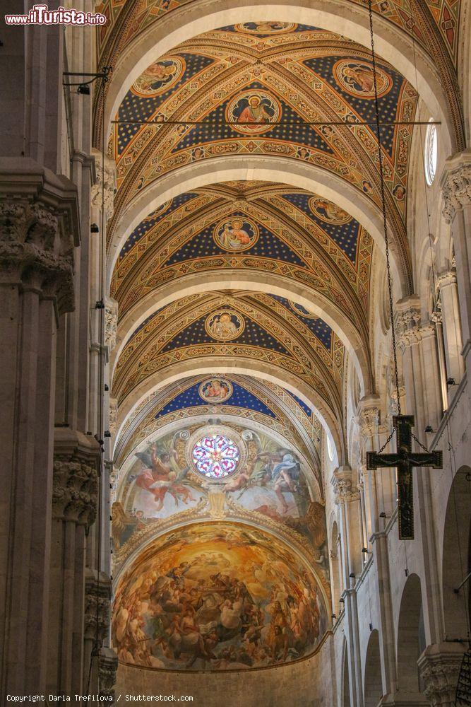 Immagine Particolare del soffitto decorato della cattedrale di San Martino a Lucca, Toscana. L'aspetto interno della chiesa è caratterizzato da un evidente verticalismo anche per via delle notevoli differenze in altezza fra la navata centrale e quelle laterali - © Daria Trefilova / Shutterstock.com