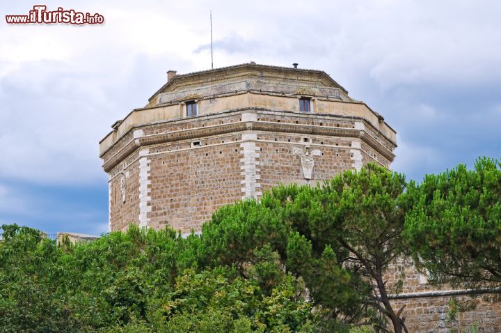 Immagine Particolare del Torrione del Castello di Civita Castellana, Lazio. Il forte, che sorge nell'area occidentale della città fuori dal vecchio abitato, è caratterizzato da un poderoso e massiccio "maschio ottagonale" dotato di postazioni di tiro a coprire tutti i lati della fortezza rendendola così inespugnabile - © Mi.Ti. / Shutterstock.com