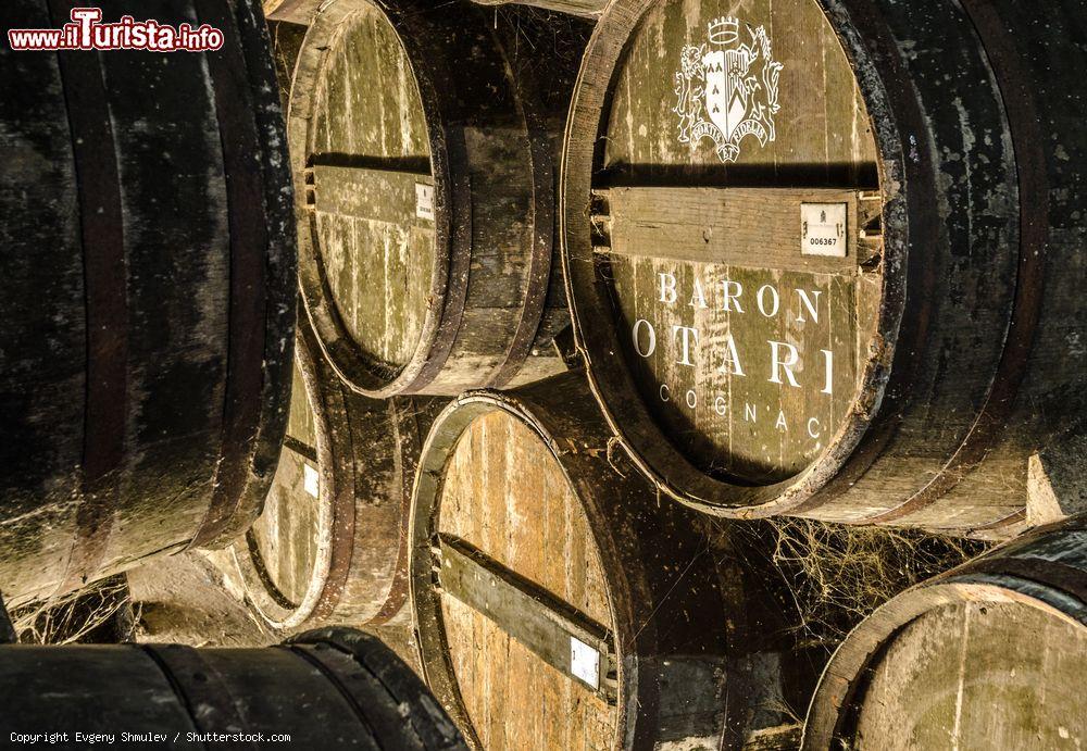 Immagine Particolare delle botti in legno nelle cantine della distilleria Otard a Cognac, Francia - © Evgeny Shmulev / Shutterstock.com