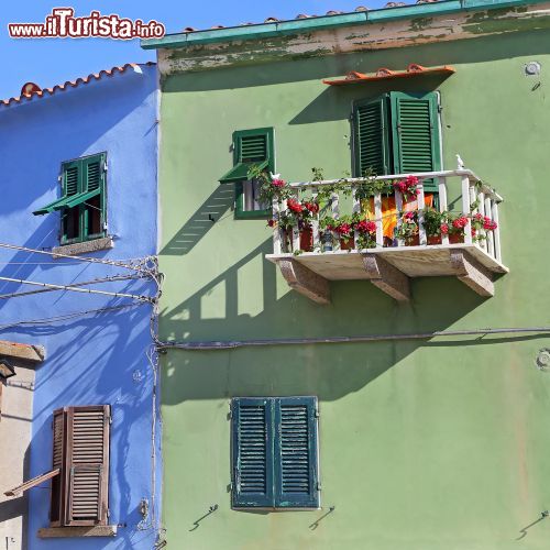 Immagine Il particolare delle case del centro di Giglio Porto - © trotalo / Shutterstock.com