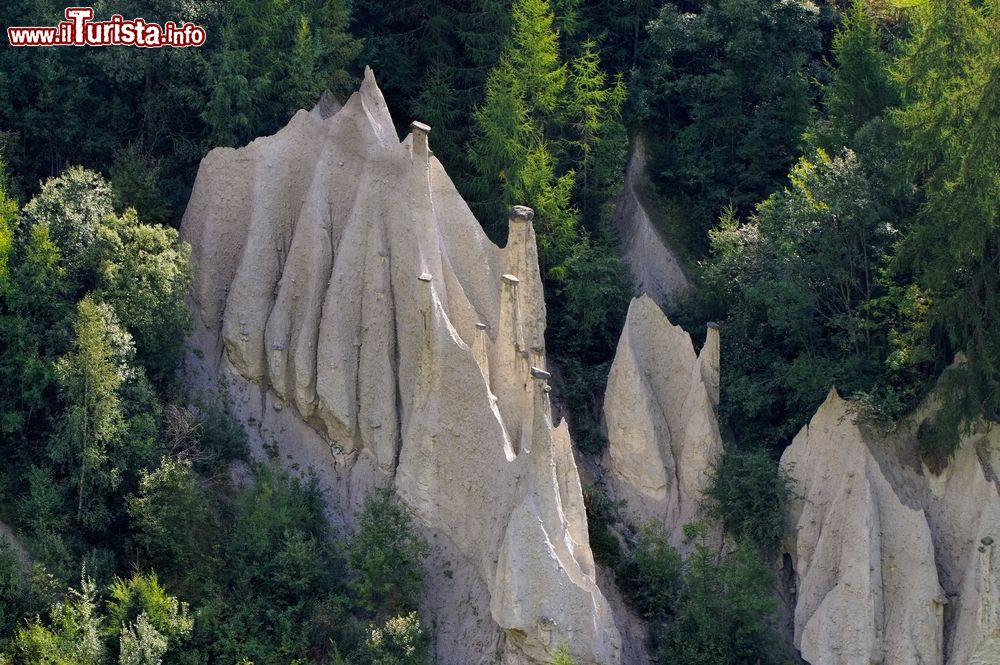 Immagine particolare delle piramidi di erosione a Terento (Terenten) in Alto Adige