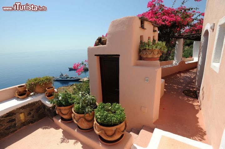 Immagine Particolare di una casa tradizionale di Alicudi, Sicilia - Fichi d'india, capperi in fiore, agavi, buganvillee viola e piante di erica decorano le belle abitazioni di quest'isola delle Eolie rendendole tutt'uno con la natura selvaggia che la caratterizza © luigi nifosi / Shutterstock.com