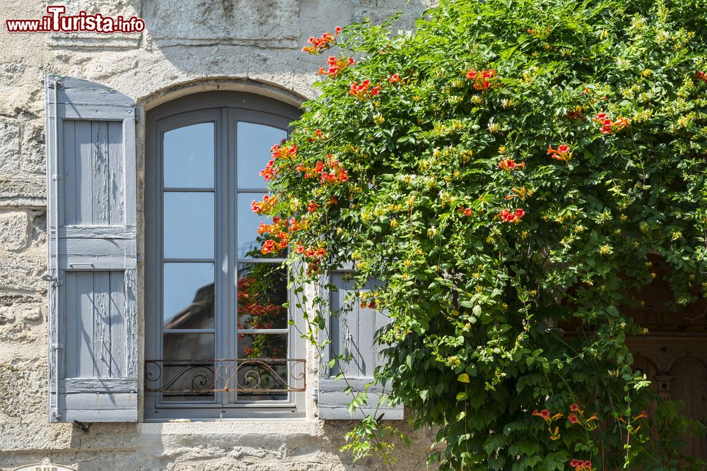 Immagine Particolare di una tipica casa di Pezenas, Francia, in stile gotico.