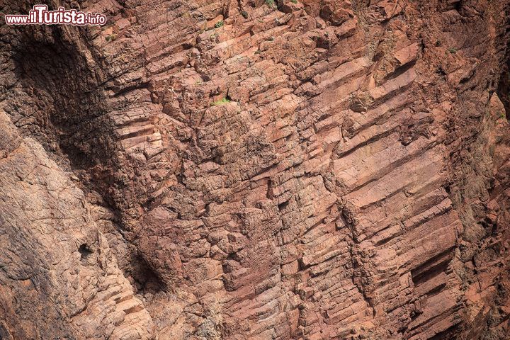 Immagine Particolare di una parete rocciosa a Scandola - le pareti rocciose della Riserva naturale di Scandola sono una sorpresa continua. Originatesi da eruzioni vulcaniche di millenni fa, queste straordinarie scogliere danno vita a pareti levigate, così come a gole e ad antri nascosti, così come a delle calette dove la natura regna sovrana e incontaminata e dove il passaggio dell'uomo è minimo o, in alcuni casi, addirittura inesistente. 