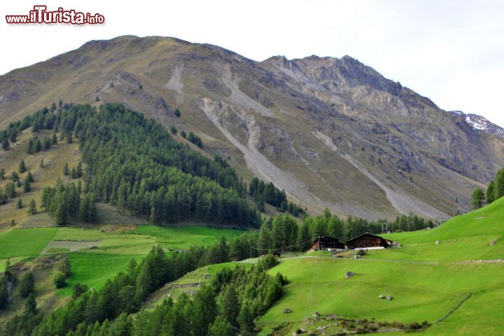 Immagine Pascoli verdi della Val Senales, Trentino Alto Adige: una vegetazione fitta e rigogliosa caratterizza questa valle trentina dove sia d'estate che d'inverno ci si può immergere in una natura incontaminata con tradizioni altoatesine - © Matteo Festi / Shutterstock.com