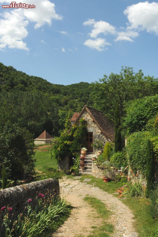 Immagine Passaggiata nelle campagne di Castelnaud la Chapelle in Aquitania (Francia)