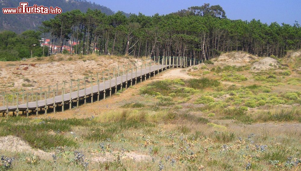 Immagine Passaggio pedonale in legno per la spiaggia di Esposende, Portogallo.