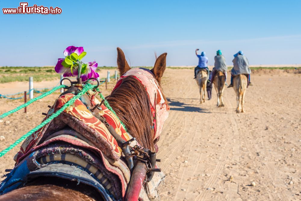 Immagine Passeggiata a cavallo nel deserto tunisino di Douz.