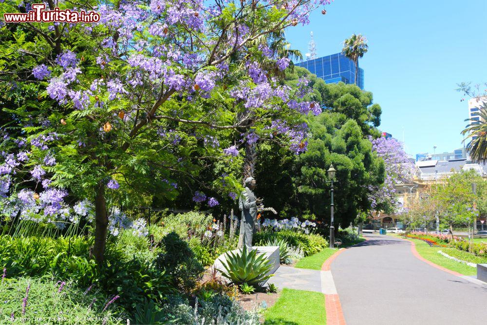 Immagine Passeggiata a fianco degli alberi di jacaranda nei Parliament Gardens di Melbourne, Australia - © Ines Porada / Shutterstock.com