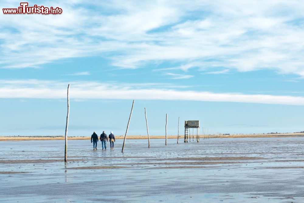 Immagine Passeggiata con la bassa marea nei dintorni del castello di Lindisfarne, Inghilterra.