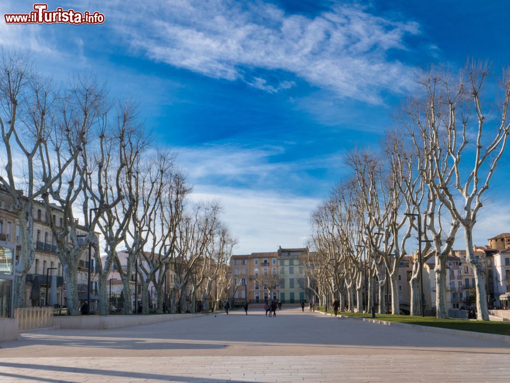 Immagine La passeggiata di Cours Mirabeau nel centro di Narbonne in una soleggiata giornata invernale, Francia.