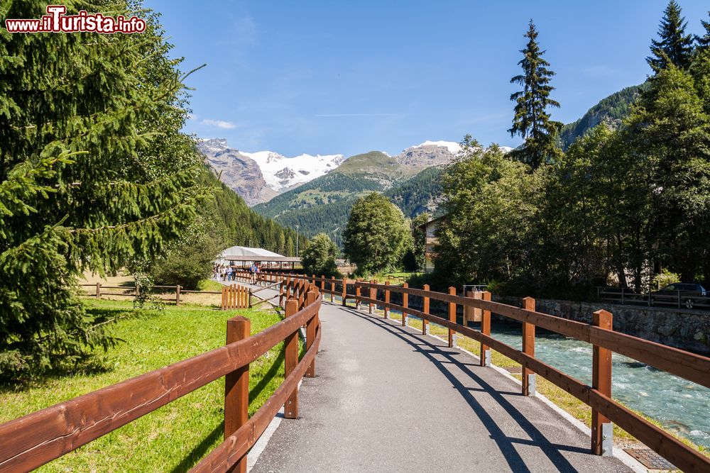 Immagine Passeggiata in estate a Champoluc in Valle d'Aosta