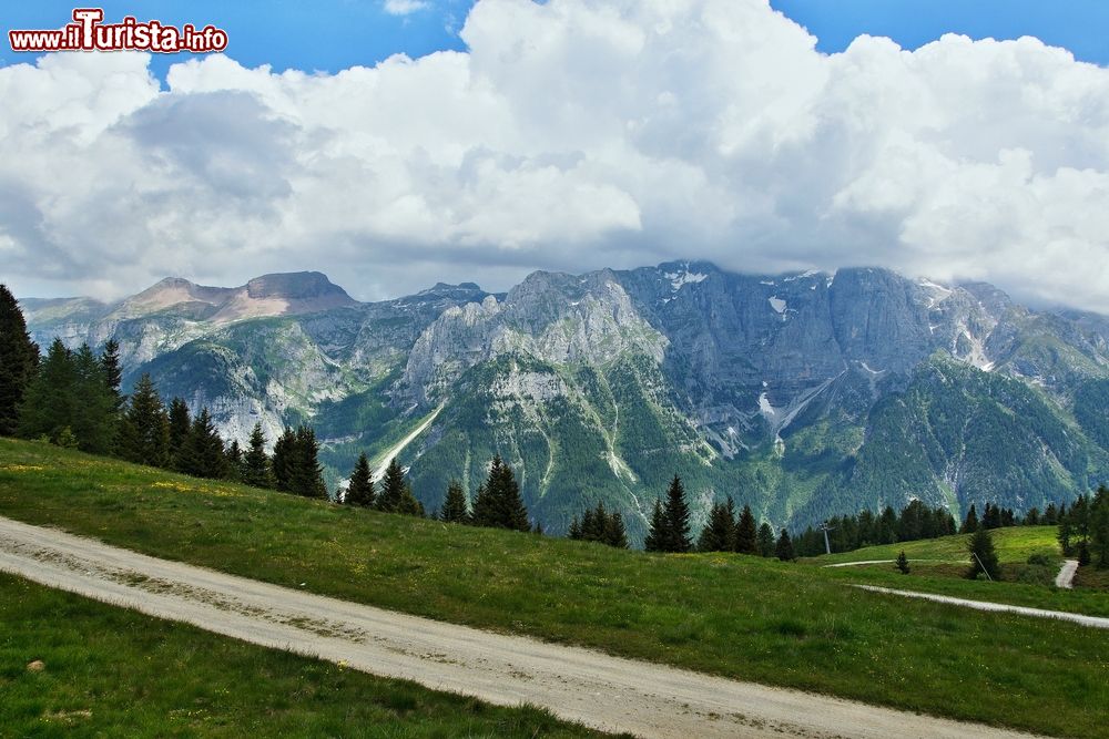 Immagine Passeggiata in estate sulle piste della Val Mastellina a Daolasa in Trentino