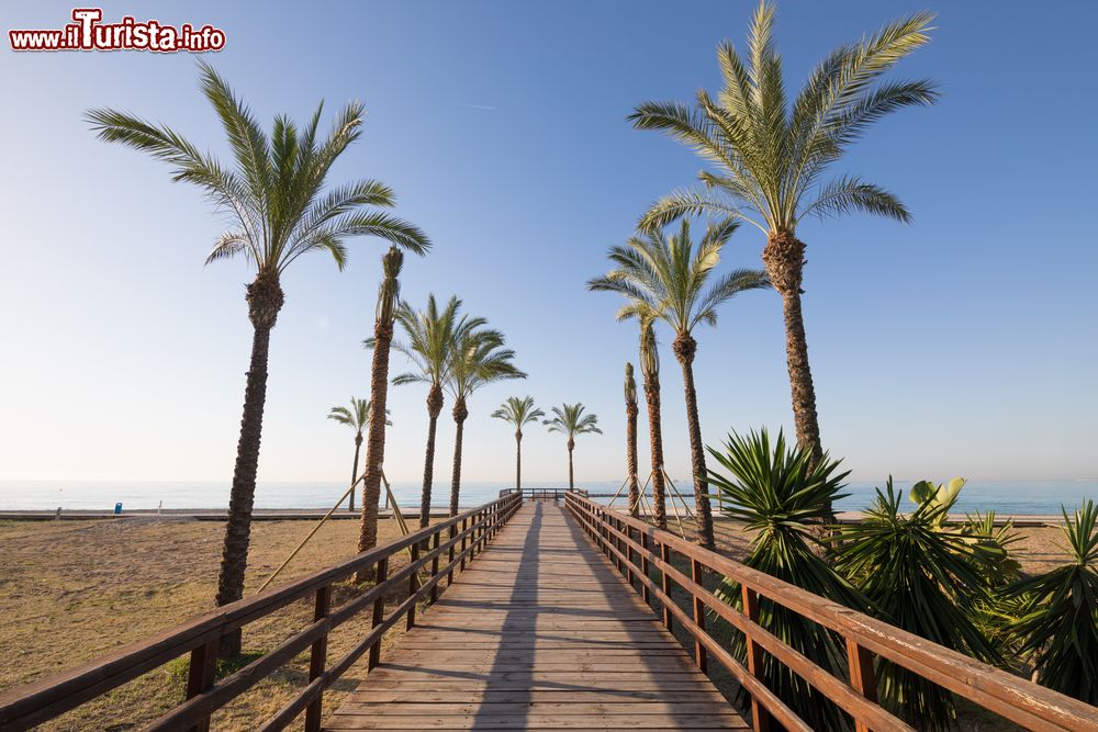 Immagine Passeggiata in legno fra le palme sulla spiaggia Els Terrers a Benicassim, Spagna.