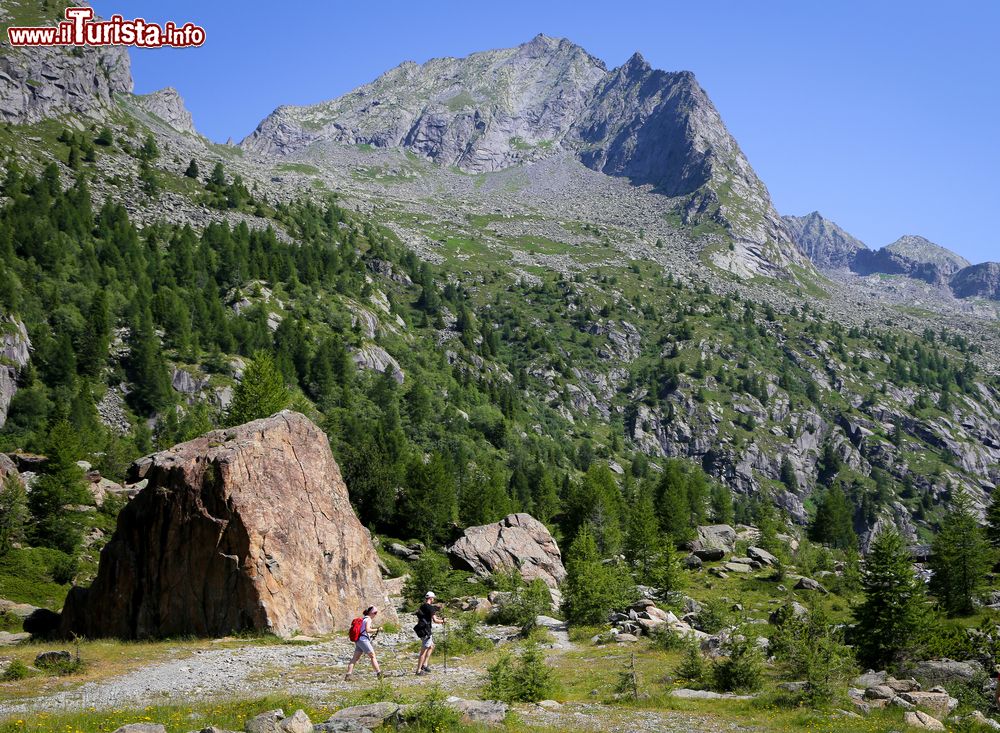 Immagine Passeggiata in montagna in una giornata estiva in Val Masino, Lombardia.