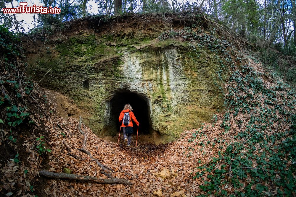 Immagine Passeggiata in una grotta naturale nei dintorni di Montescudaio in Toscana, siamo nel pisano - © robertonencini / Shutterstock.com