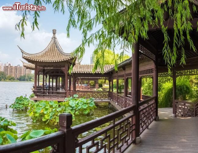 Immagine Passeggiata lungo il lago Mochou a Nanchino, Cina - © chungking / Shutterstock.com