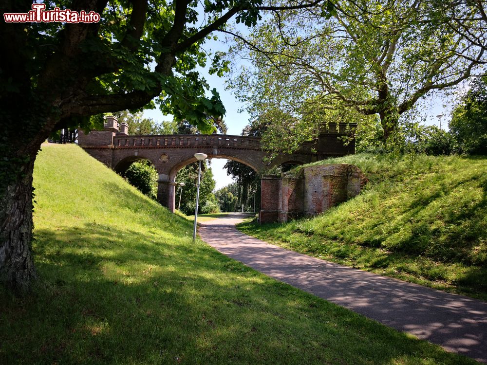Immagine Passeggiata lungo un parco pubblico cittadino a Nijmegen, Olanda.