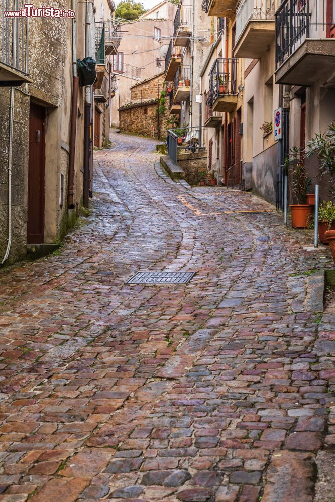 Immagine Passeggiata lungo una stradina lastricata del centro storico di Geraci Siculo