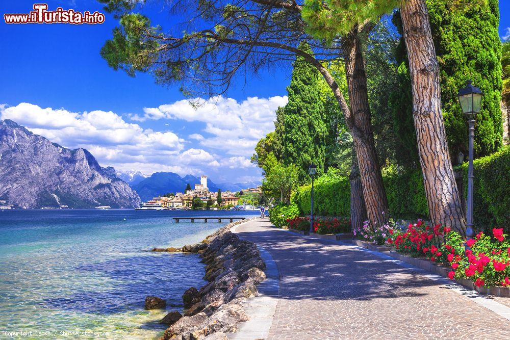 Immagine Passeggiata lungolago a Malcesine - © leoks / Shutterstock.com