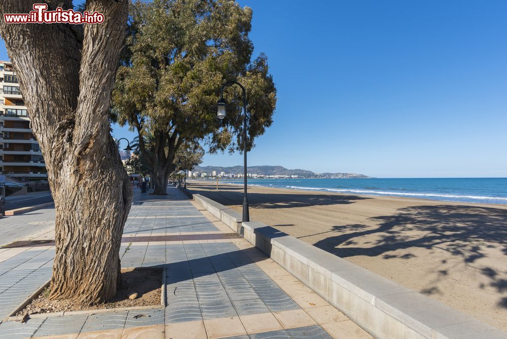 Immagine Passeggiata lungomare a Benicassim, Spagna. Situata vicino al mare, questa località si trova nel cuore del territorio della Plana Alta.