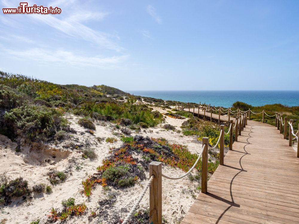 Immagine Passeggiata lungomare verso la spiaggia di Zambujeira do Mar nei pressi di Odemira (Portogallo).