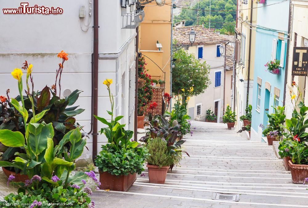 Immagine Passeggiata nel borgo antico di Numana nelle Marche, sud del Conero - © nikolpetr / Shutterstock.com