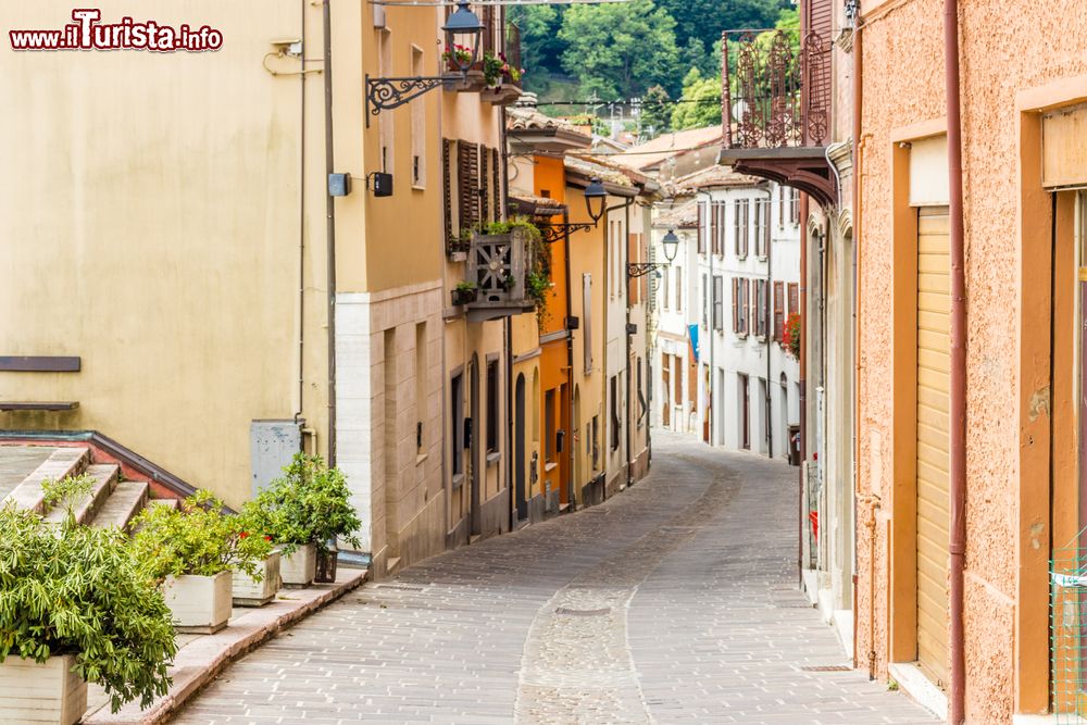 Immagine Passeggiata nel borgo di Bertinoro sulle colline della Romagna