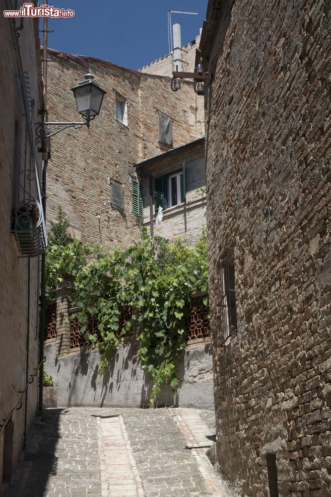 Immagine Passeggiata nel borgo di Montecassiano, centro storico medievale perfettamente conservato nelle Marche