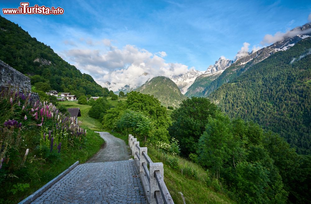 Immagine Passeggiata nella natura del borgo di Soglio, Svizzera.