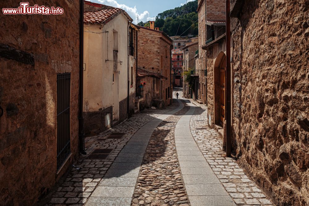 Immagine Passeggiata nello storico borgo di Gavoi in Sardegna