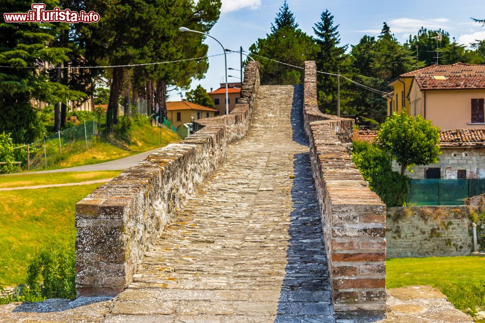 Immagine Passeggiata sopra al Ponte di San Donato a Modigliana, lo storico passggio sul Torrente Tramazzo