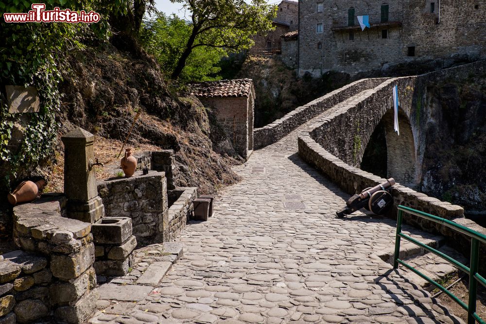 Immagine Passeggiata sul ponte di San Michele, la struttura medievale di Piazza al Serchio in Toscana