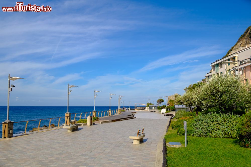 Immagine Passeggiata sulla costa di Deiva Marina al confine tra le 5 Terre e il Gofo del Tigullio