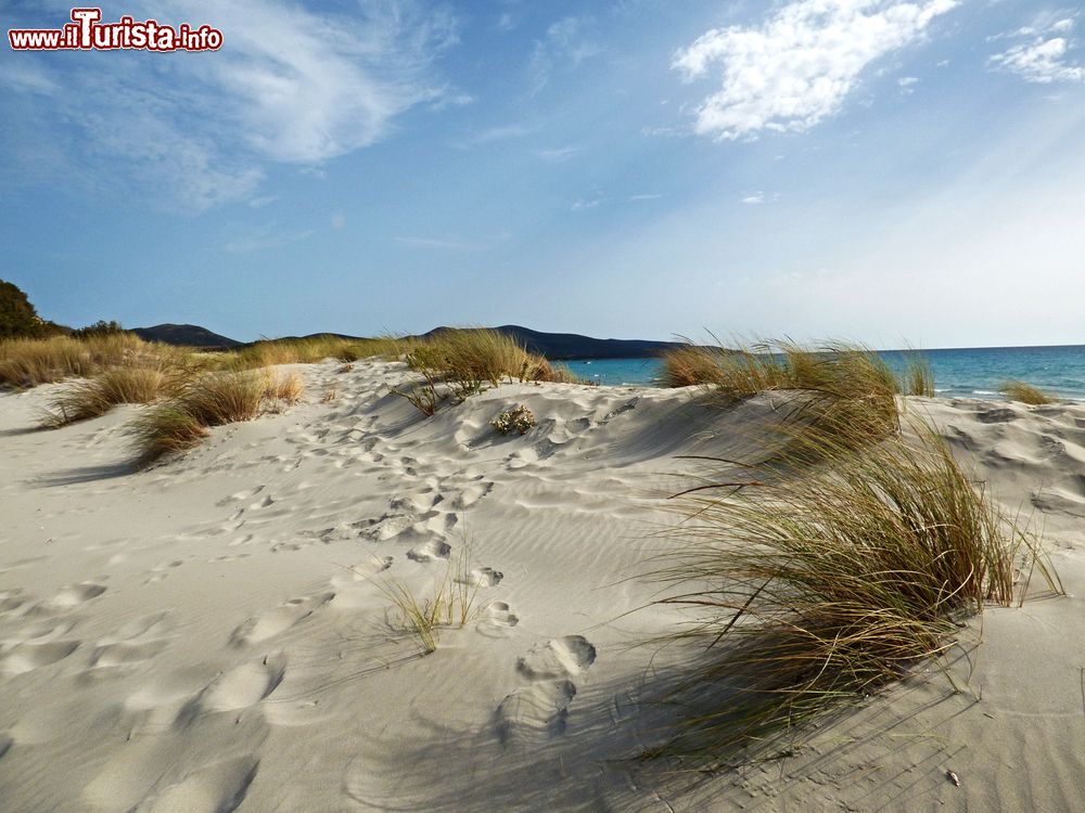 Immagine Passeggiata sulle dune costiere del sud della Sardegna presso Porto Pino