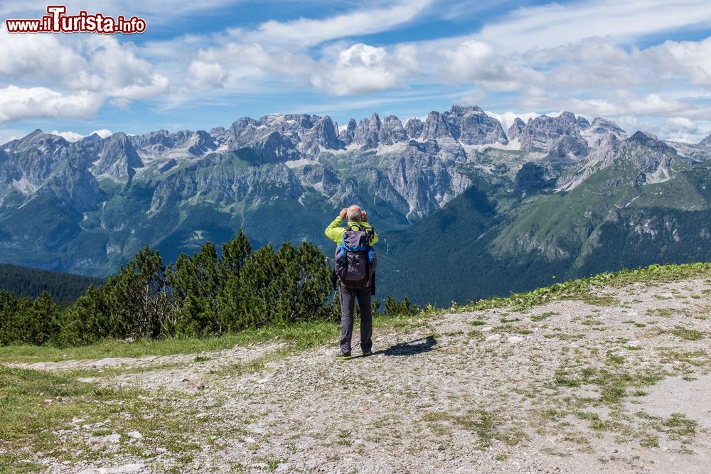 Immagine Passeggiata sulle montagne di Andalo con vista sulle Dolomiti di Brenta.